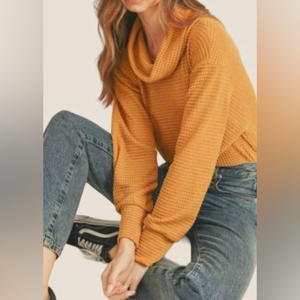NWT Free People Juicy Long Sleeve Top in Canyon Moon - Picture 10 of 10